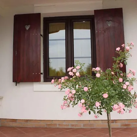 - Balaton 20231 Σπίτι διακοπών Nagyvázsony